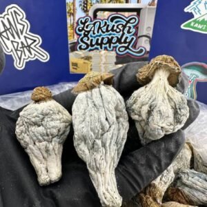 Jack Frost Magic Shrooms